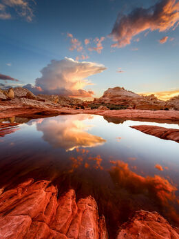 Jessica Fridrich, ‘Aftermath’, 2017