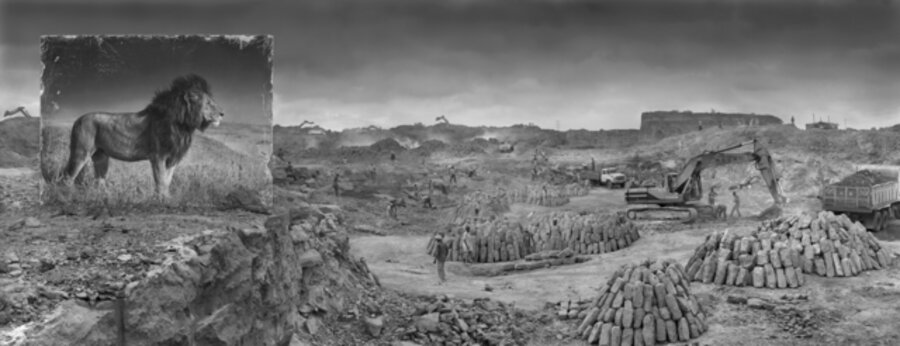 Quarry with Lion