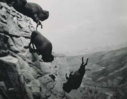 David Wojnarowicz, ‘Untitled (Buffalo)’, 1988-1989