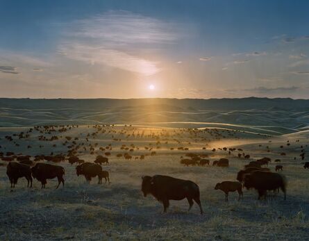 Andrew Moore, ‘Flying H Buffalo Ranch, Walworth County, South Dakota’, 2006
