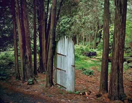 Carolyn Monastra, ‘The Gate’, 2001