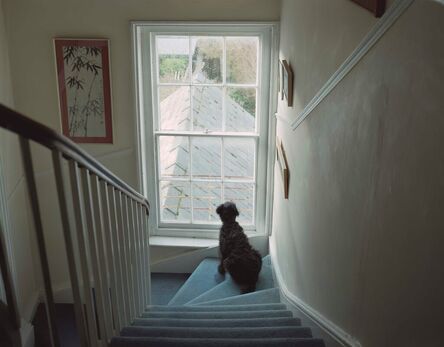 Lucy Skaer, ‘Dog On Our Stairs’, 2022