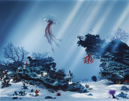 Didier Massard, ‘The Corals’, 2004