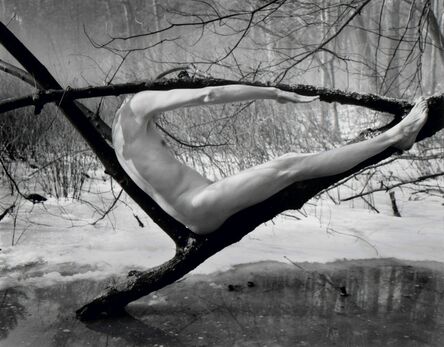 Arno Rafael Minkkinen, ‘Kettlehole Bog, Fosters Pond’, 1996