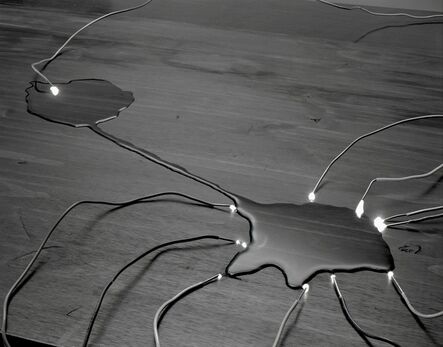 David Goldes, ‘Electricity on my table’, 2010
