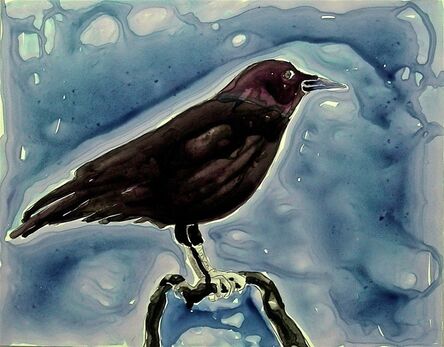 Eleanor Hubbard, ‘Wet Crow’, 2009