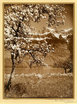 Albert Steiner, ‘Swiss Mountain Scene’, 1940