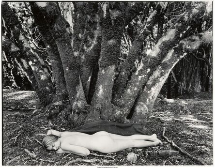 Wynn Bullock, ‘Girl in the Forest’, 1954