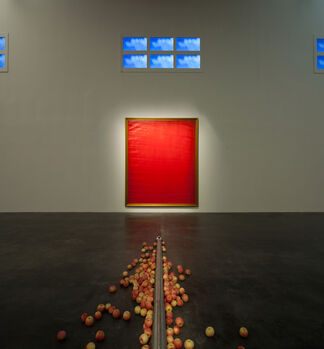 Gu Dexin: The Important Thing Is Not The Meat, installation view