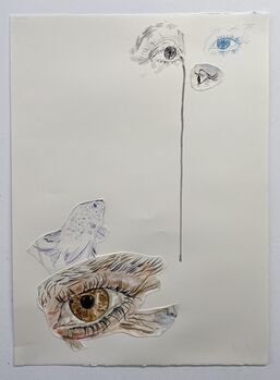 Constanza Schaffner, ‘Untitled’, 2019