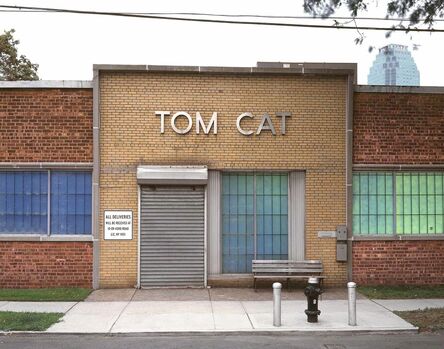 Ber Murphy, ‘Tom Cat’, 2009