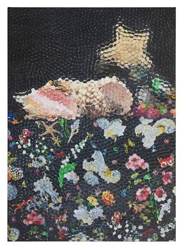 Ana Elisa Egreja, ‘Natureza morta com conchas e estrela do mar’, 2016