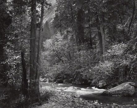 Ansel Adams, ‘Tenaya Creek, Spring Rain, Yosemite National Park’, 1948