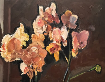 George Nick, ‘Orchids’, 2020