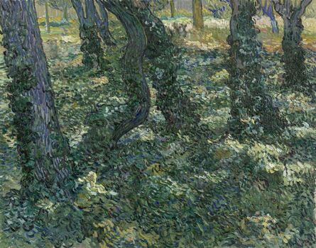 Vincent van Gogh, ‘Undergrowth’, 1889