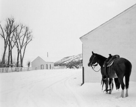 Kurt Markus, ‘YP Ranch Tuscarora, NV’, 1981
