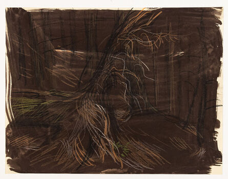 Paul Cadmus, ‘Study of Trees in Forest II’, 1904-1999