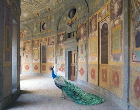 Karen Knorr, ‘Heaven’s Vault Villa Farnese, Caprarola ’, 2014 