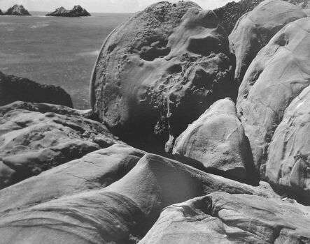 Edward Weston, ‘Point Lobos’, 1932