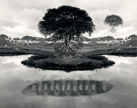 Jerry Uelsmann, ‘Untitled 1969 (Floating Tree)’, 1969