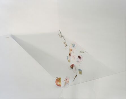Laura Letinsky, ‘Untitled #28, from the series "Ill Form & Void Full"’