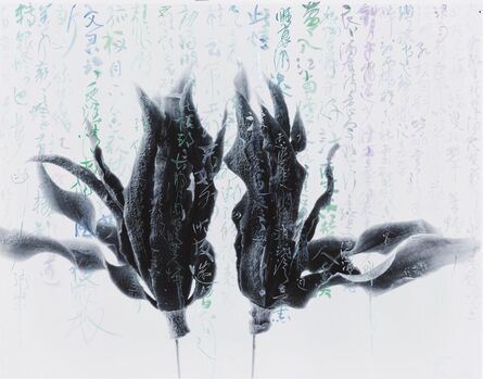 Chu Chu  儲楚, ‘Gardenia-Butterfly Chase’, 2011-2019