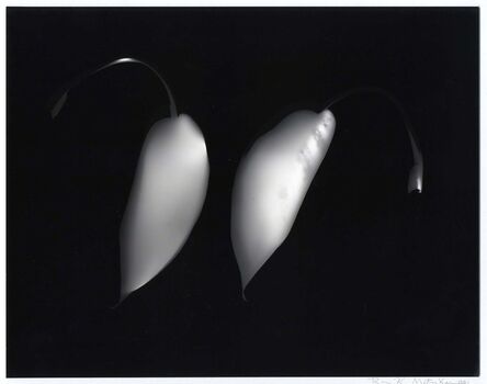 Ray K. Metzker, ‘Untitled Photogram’, 1991