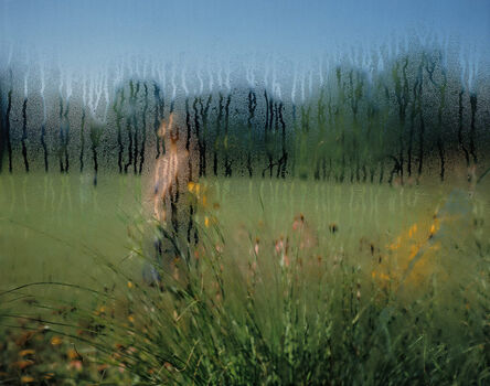 Carolyn Monastra, ‘Wonderglass’, 2000