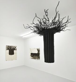 Neither Tree nor Ashes, installation view