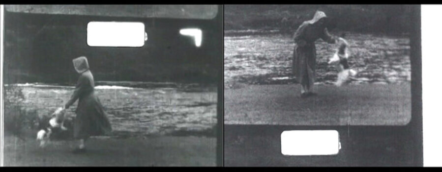 Little Dog 3 (Film Still)
