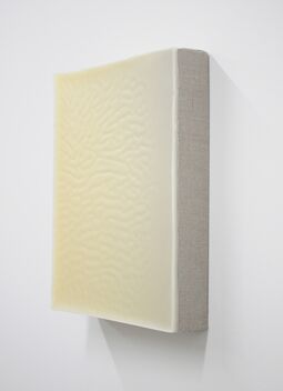 Jessica Sanders, ‘Cast Cover A15’, 2015