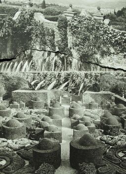 Virginia Inés vergara, ‘Shard_LS’, 2018