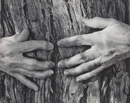 Wynn Bullock, ‘Woman's Hands’, 1956