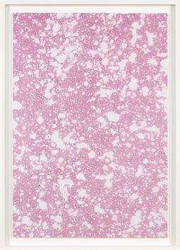 Adam Fuss, ‘Untitled’, 2018