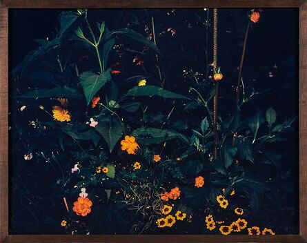 Miranda Lichtenstein, ‘Flowerbed’, 2002