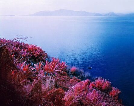 Richard Mosse, ‘I Threw It All Away’, 2012