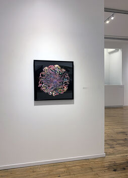 Bau-Xi Gallery at Photo London 2020, installation view