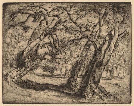 Samuel Colman, ‘Untitled (Wooded Landscape)’, ca. 1880