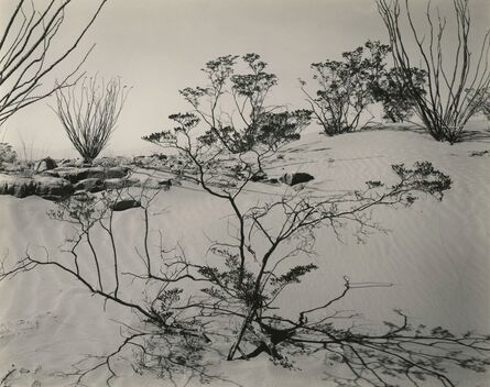 Brett Weston, ‘Texas Desert’, 1946
