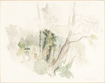 Robert Hills, ‘Trees at Beddington’, possibly c. 1805
