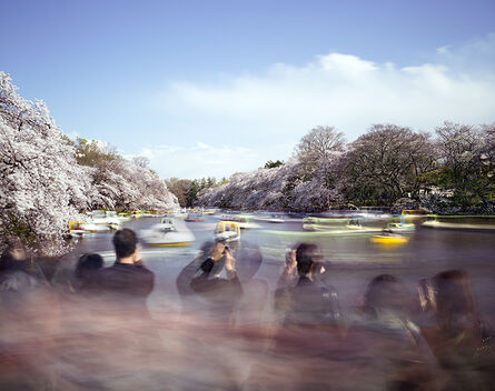 Matthew Pillsbury, ‘Hanami #14, Inokashira Park, Saturday April 5th (TV14614)’, 2014