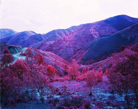 Richard Mosse, ‘To be titled’, 2015