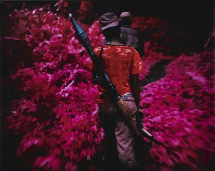 Richard Mosse, ‘'Ruby Tuesday (Infra Series)'’, 2011