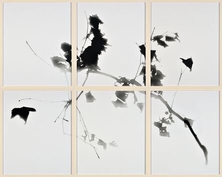 Gerda Schütte, ‘Untitled (from the series »Branches«, tableau, white, 6-partite)’, 2022