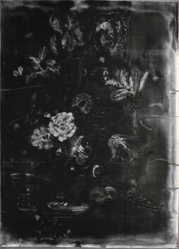 Christopher Cook, ‘No man’s Flowers’, 2017