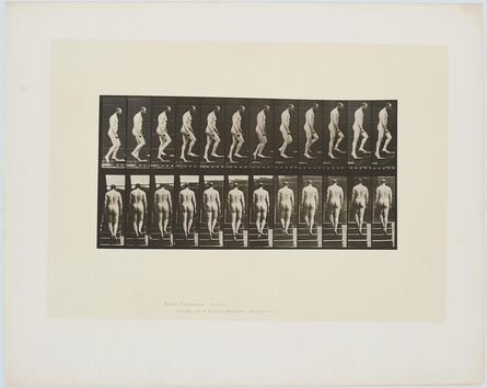 Eadweard Muybridge, ‘Animal Locomotion (Plate 89)’, 1887