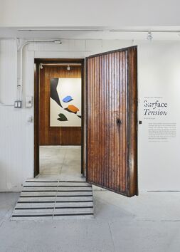 Surface Tension, installation view