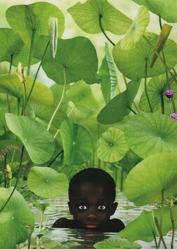 Ruud Van Empel, ‘World #14’, 2006