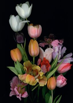 Luzia Simons, ‘Stockage 88’, 2010