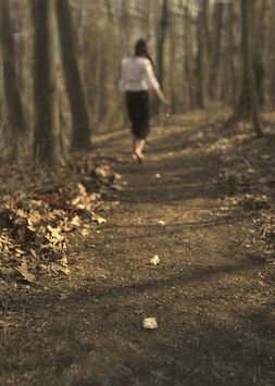 Peter Freed, ‘Bird Food ’, 2014